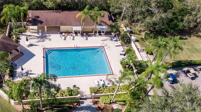 view of swimming pool featuring a patio area