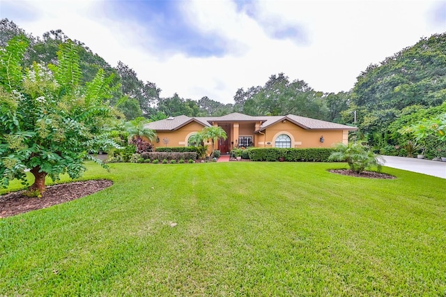 ranch-style home featuring a front lawn