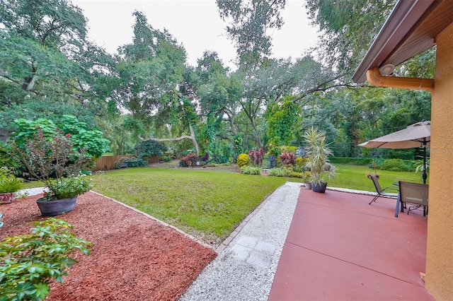 view of yard with a patio area