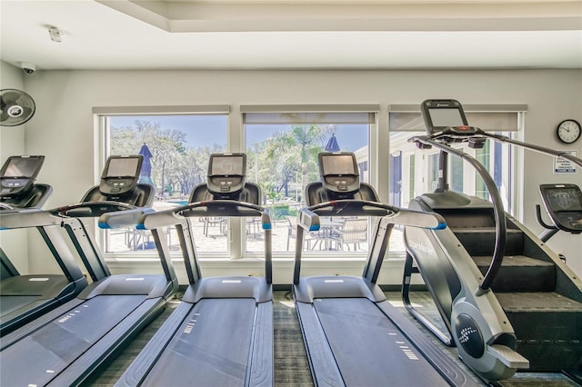 workout area featuring a wealth of natural light