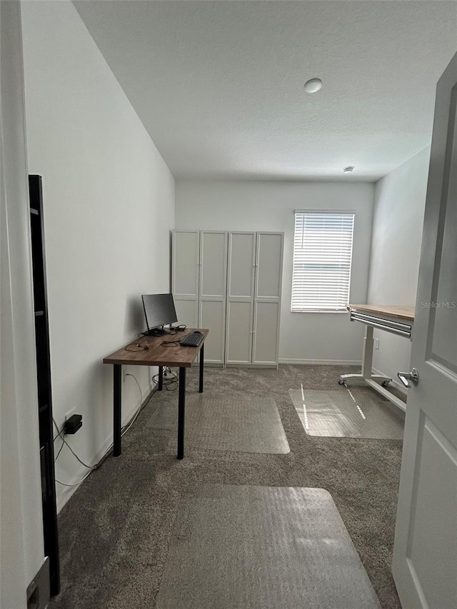 view of carpeted home office