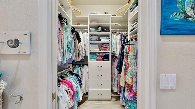 walk in closet with light wood-type flooring