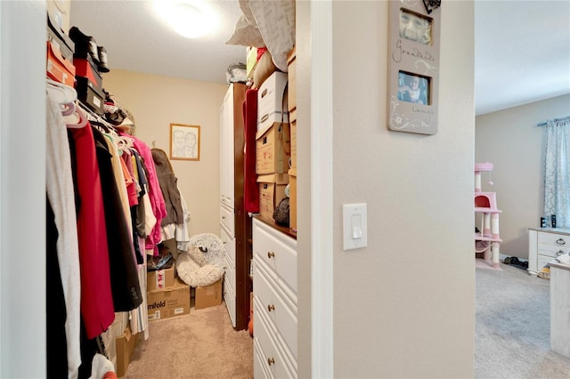 spacious closet featuring light carpet