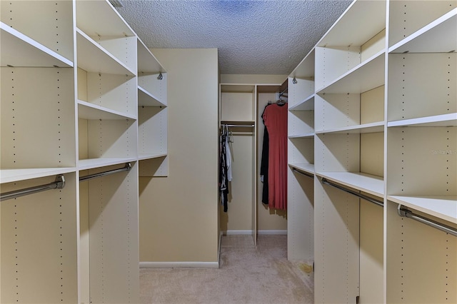 spacious closet with light carpet