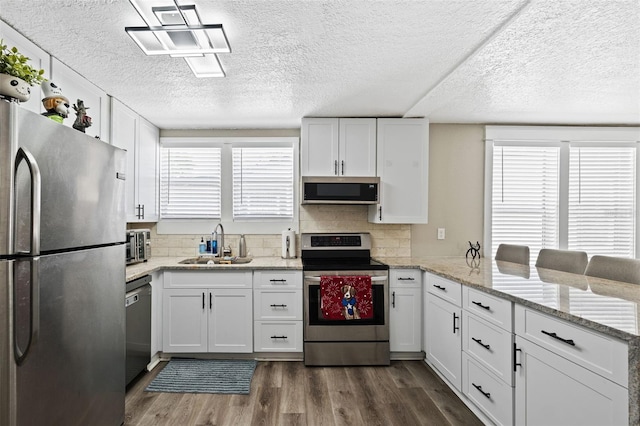 kitchen featuring stainless steel appliances, dark hardwood / wood-style floors, white cabinetry, and sink