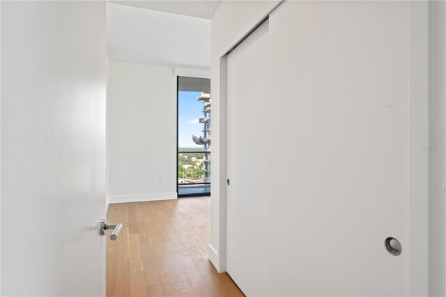 corridor with light hardwood / wood-style floors and floor to ceiling windows