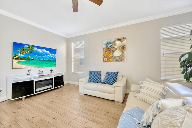 living room featuring ceiling fan, ornamental molding, and light wood-type flooring