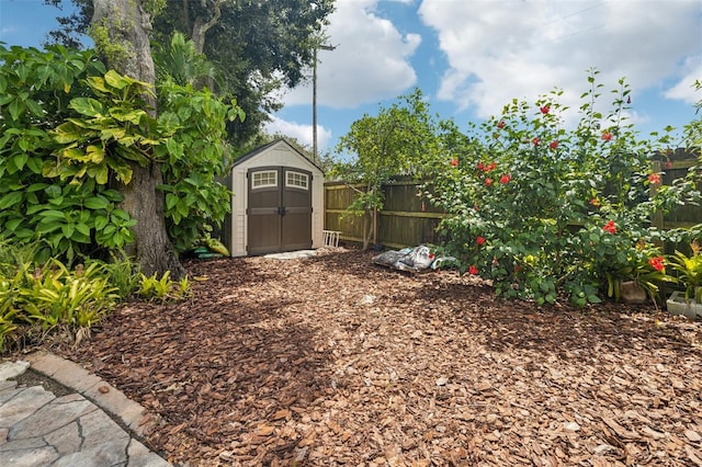 view of yard with a storage shed