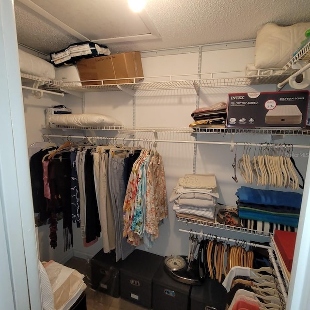 view of spacious closet