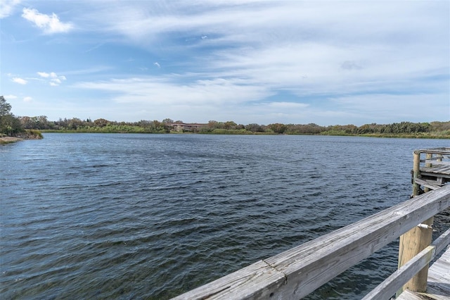 dock area featuring a water view