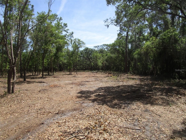 view of local wilderness