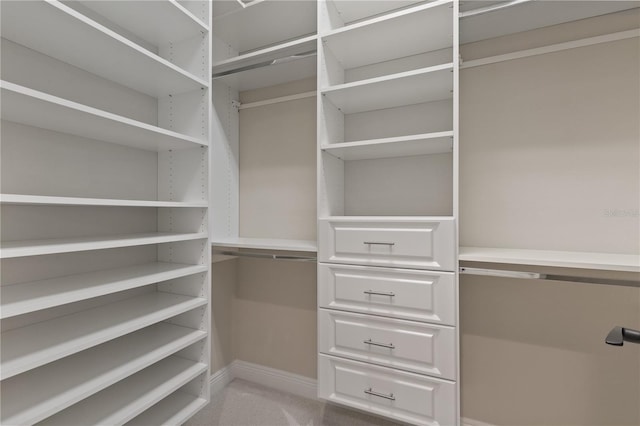 spacious closet featuring light carpet