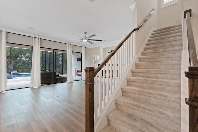 staircase featuring hardwood / wood-style flooring, ceiling fan, and crown molding