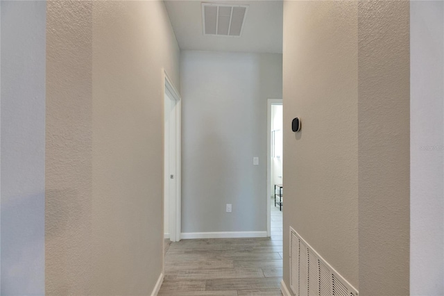 13012 Rain Lily Dr, Riverview, FL 33579 - photo 29