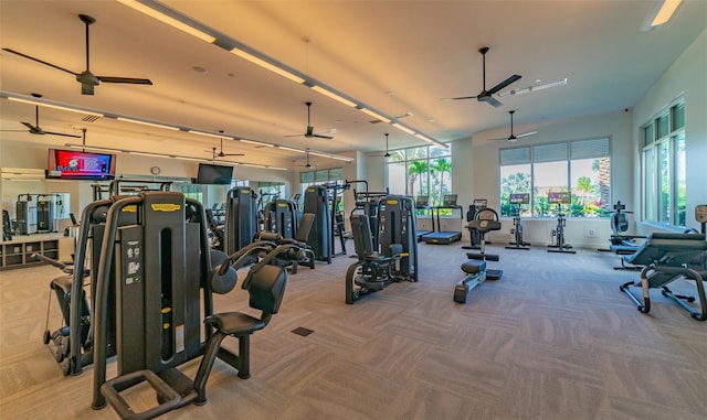 gym with ceiling fan and carpet flooring