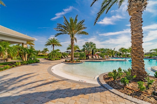 view of swimming pool featuring a patio area