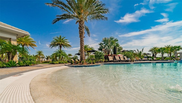 view of swimming pool