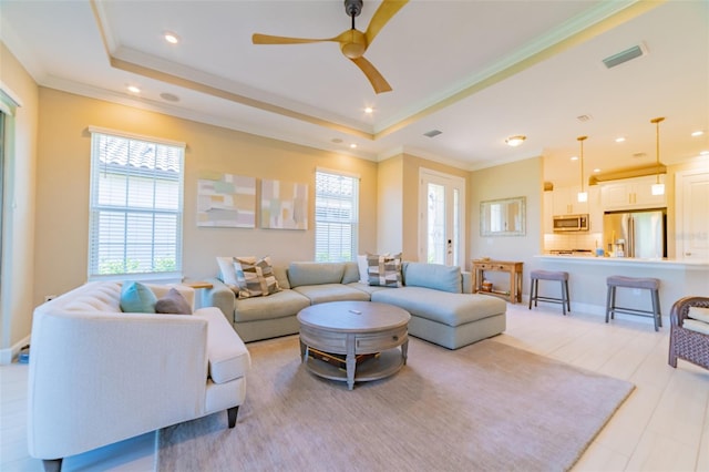 living room with a healthy amount of sunlight, ceiling fan, and a tray ceiling