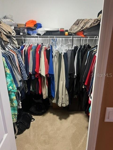 walk in closet featuring carpet flooring