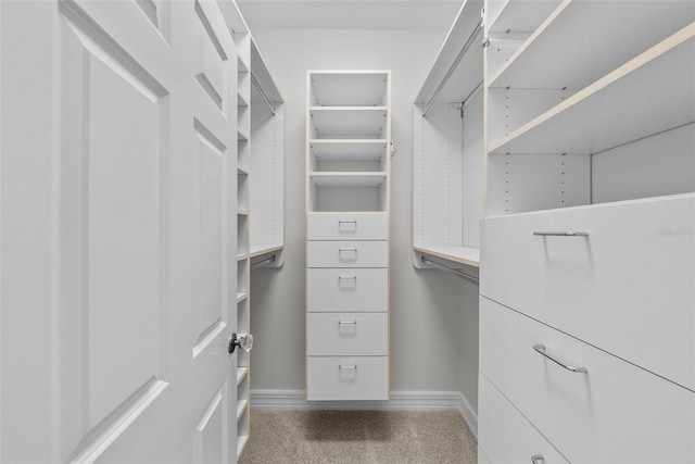 view of walk in closet