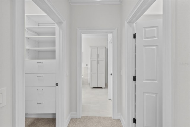 hall with ornamental molding and light carpet