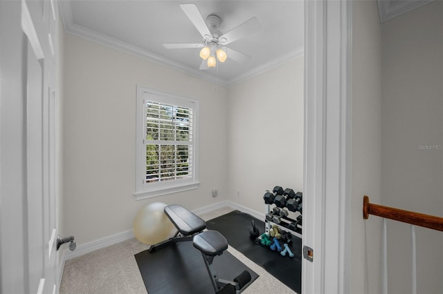 workout area with crown molding, carpet floors, and ceiling fan