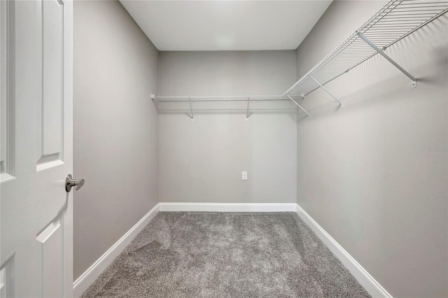 spacious closet with carpet