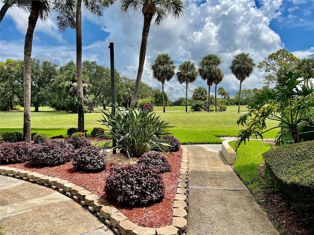 view of community with a yard