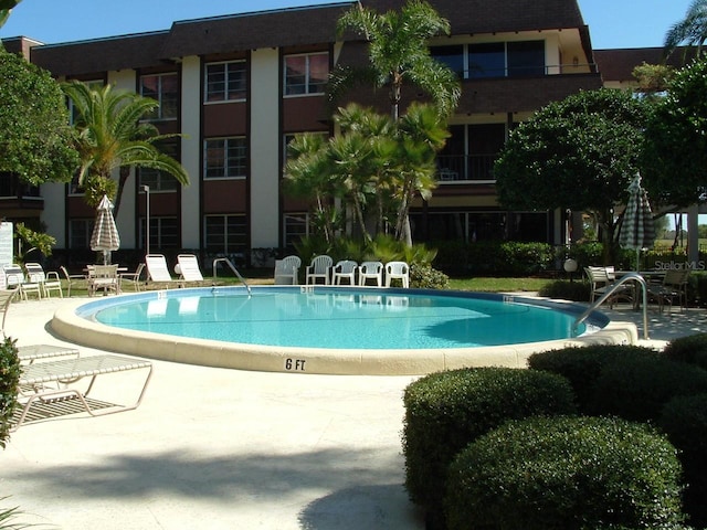 view of swimming pool featuring a patio area