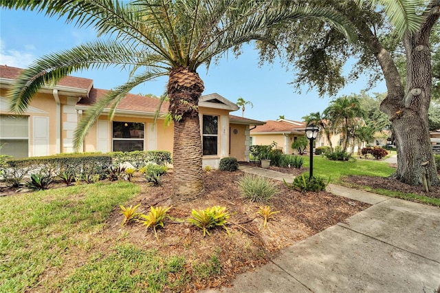 single story home with a front lawn