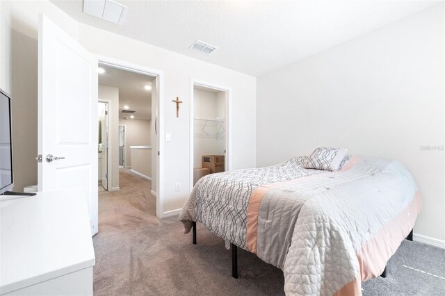 carpeted bedroom with a spacious closet and a closet