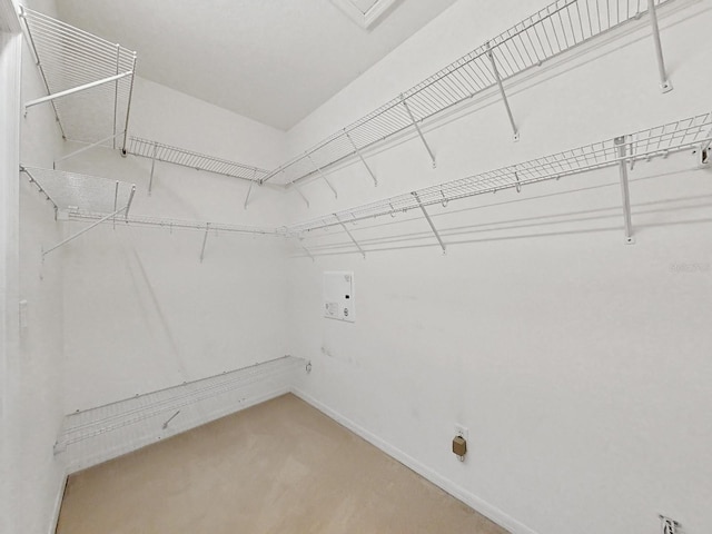 view of walk in closet