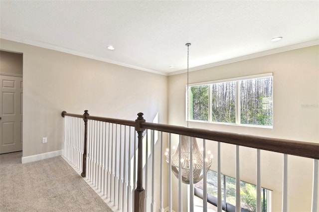 hall with carpet and ornamental molding