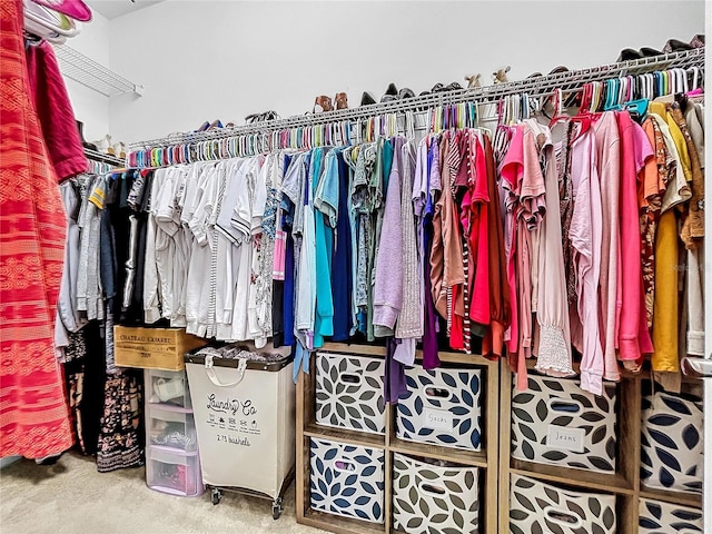 walk in closet with carpet flooring