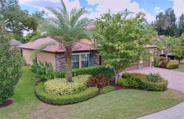 view of front facade with a front lawn