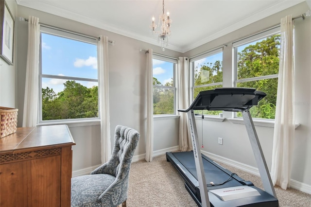 workout room with light carpet, ornamental molding, and a wealth of natural light