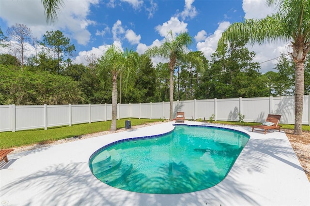 view of pool with a patio