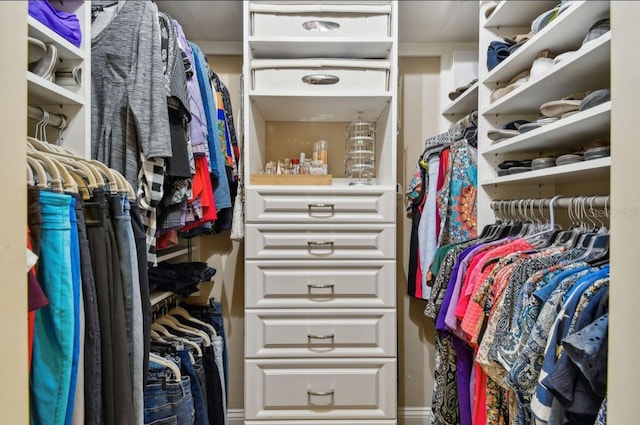 view of spacious closet