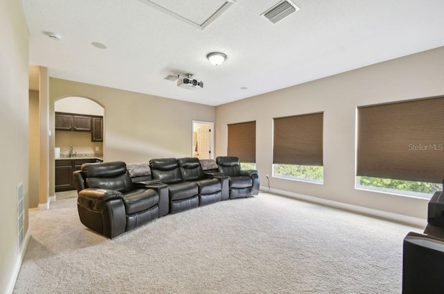 carpeted home theater room with sink