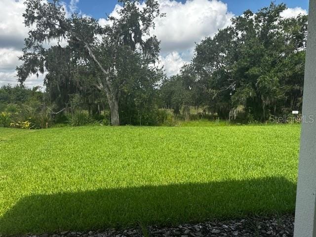 708 160th Ln E, Bradenton, FL 34212 - view of grassy yard