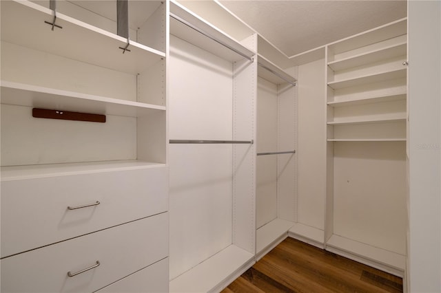 spacious closet featuring dark wood finished floors