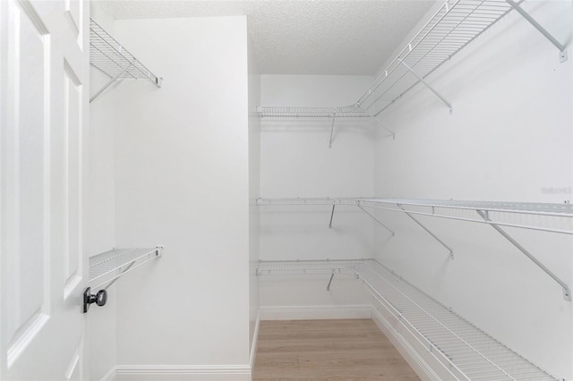 3822 Cortez Dr Unit D, Tampa, FL 33614 - walk in closet featuring light wood-style flooring