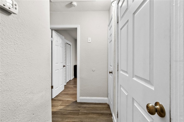 hallway featuring dark hardwood / wood-style flooring