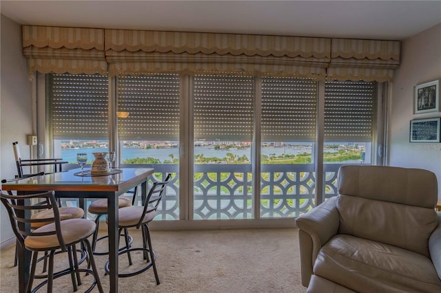 dining space with light carpet