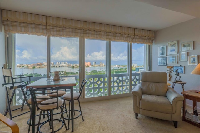 sunroom / solarium with a view of city