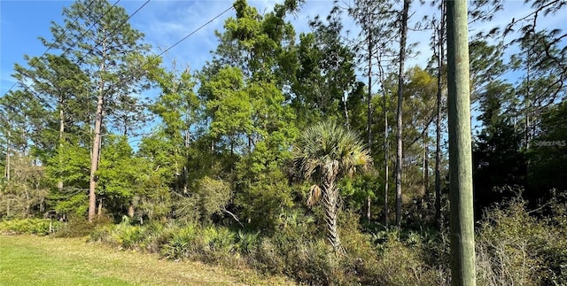 10082 W Dunellon Rd, Crystal River FL, 34428 land for sale