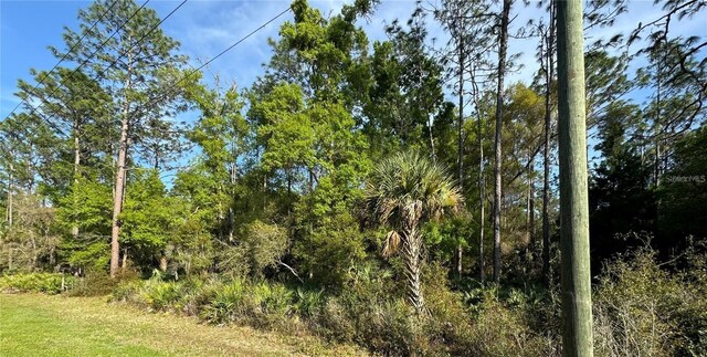 10070 W Dunellon Rd, Crystal River FL, 34428 land for sale