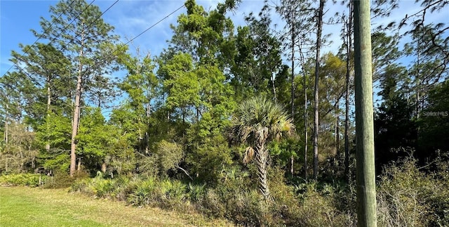 10070 W Dunellon Rd, Crystal River FL, 34428 land for sale