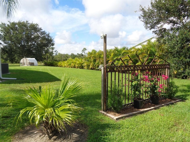 view of yard with a storage shed