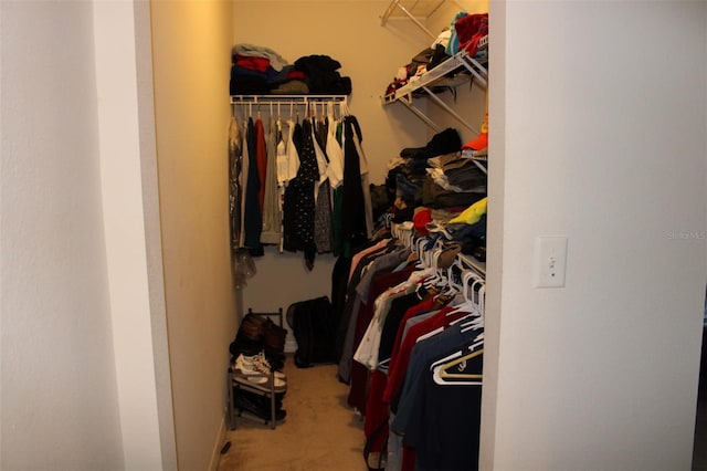 spacious closet with carpet flooring